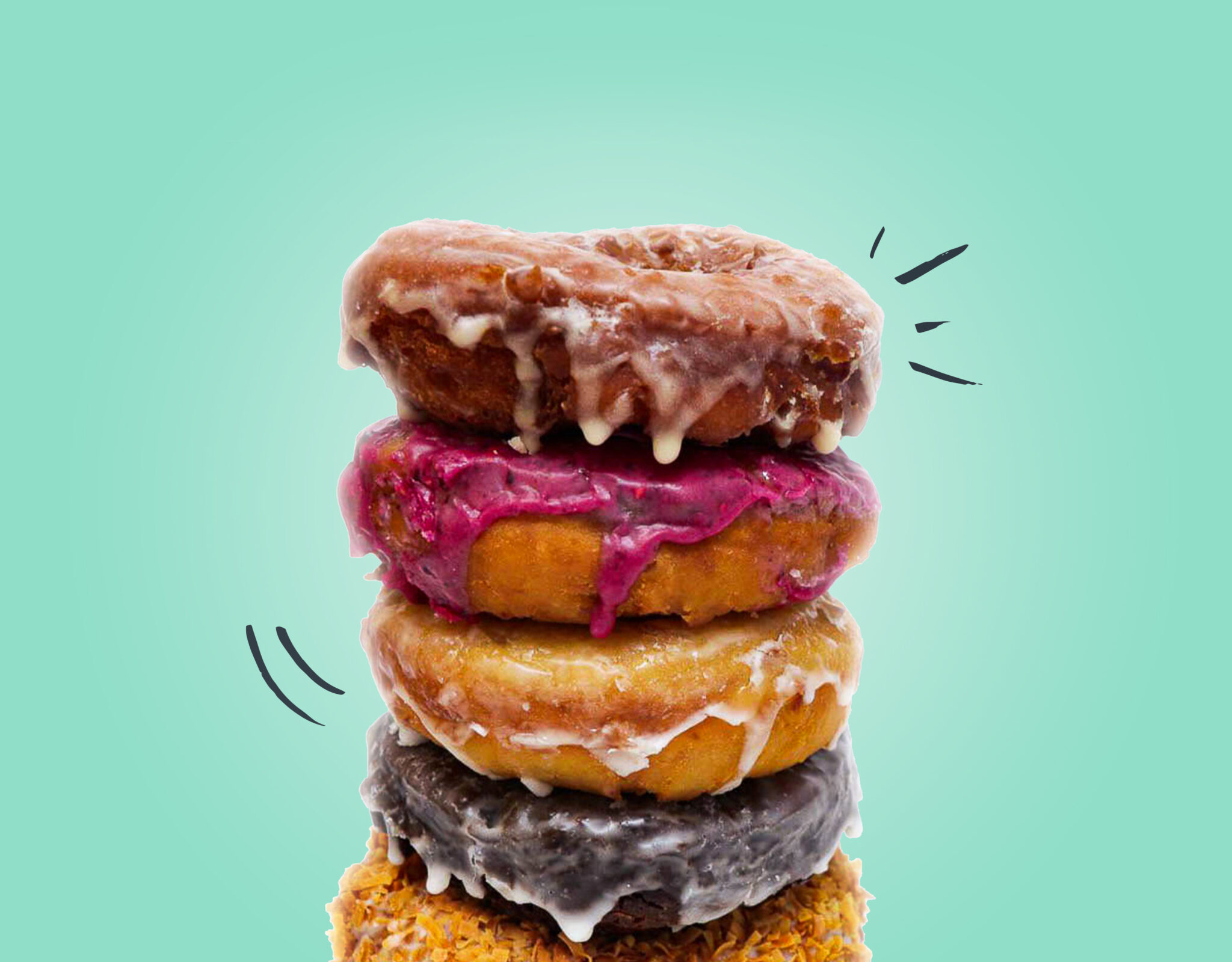 The Holy Donut Gourmet Potato Donuts Portland, Maine